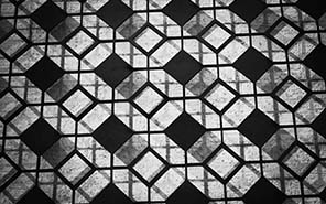 CL Celosias_A36_Lamina 14